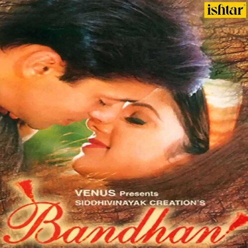 Cover image for Bandhan Title Track Sad Version