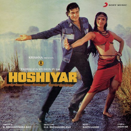Cover image for Deewana Dil Sangeet Ka