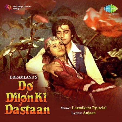 Cover image for Do Dilon Ki Dastan