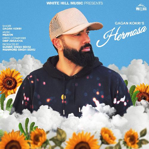 Cover image for Hermosa