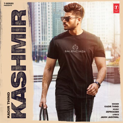 Cover image for Kashmir