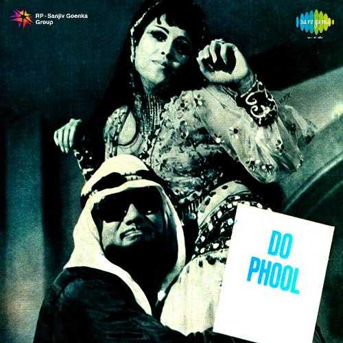 Cover image for Lailo Shabab Aayi