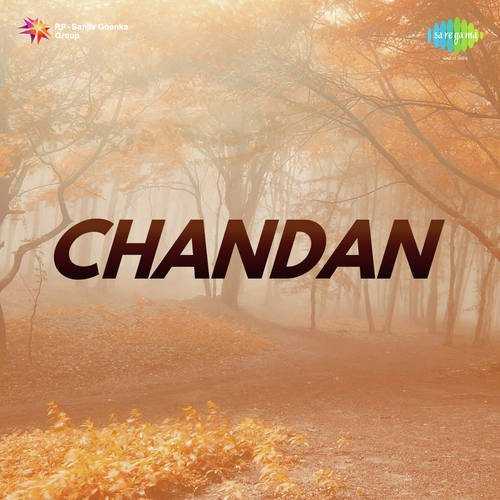 Cover image for Nanha Sa Dil Deti Hoon Pardesi