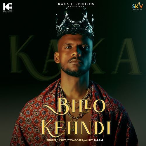 Cover image for Naqaab