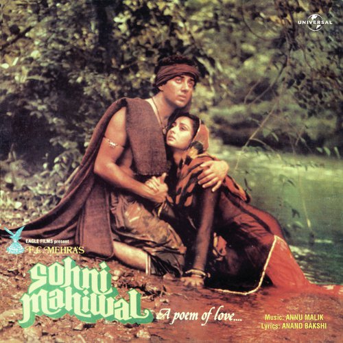 Cover image for Sohni Chenab De Kinare - Duet
