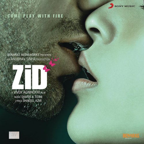 Cover image for Zid