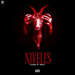 NIVELES
