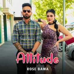 Attitude