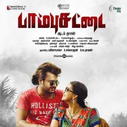 Paambu Sattai (Theme)