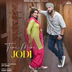 Teri Meri Jodi - Jevi Singh