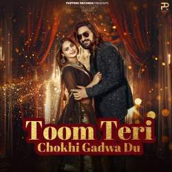 Toom Teri Chokhi Gadwa Du
