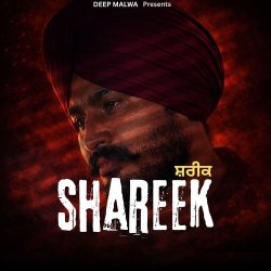 Shareek