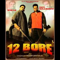 12 Bore