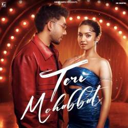 Teri Mohabbat