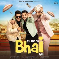 Tu Mera Bhai Hai