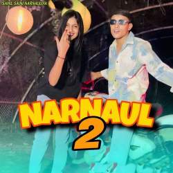 Narnaul 2