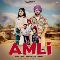 Amli