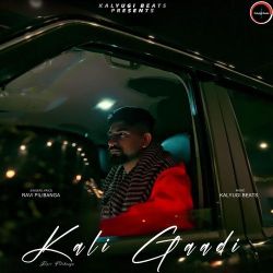 Kali Gaadi