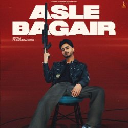 Asle Bagair