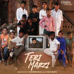 Teri Marzi