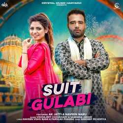 Suit Gulabi