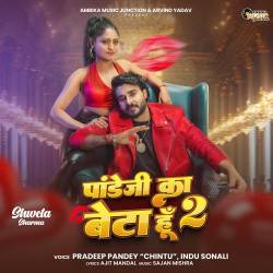 Pandeyji Ka Beta Hoon 2