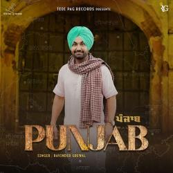 Punjab - Ravinder Grewal