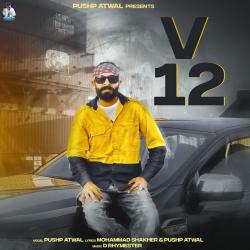 V12