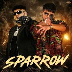 Sparrow