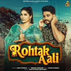 Rohtak Aali