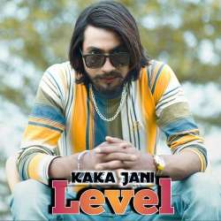 Level