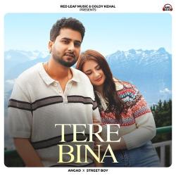 Tere Bina - Angad