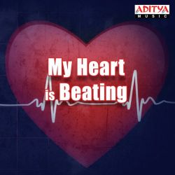 Ninnila