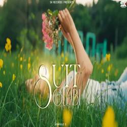 Suit Gulabi