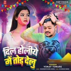 Dil Holiye Men Tod Delu