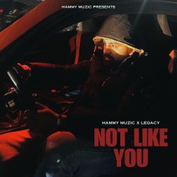 Not Like You