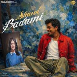 Shawl Badami