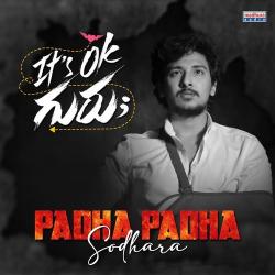 Padha Padha Sodhara