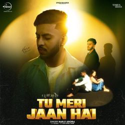 Tu Meri Jaan Hai