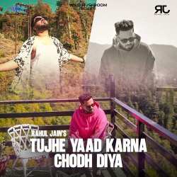 TUJHE YAAD KARNA CHOD DIYA