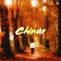 Chinar