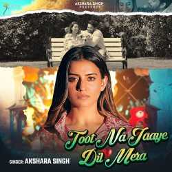 Toot Na Jaaye Dil Mera
