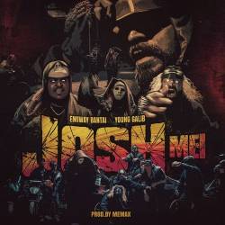 Josh Mei