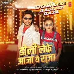 Doli Leke Aaja Ae Raja
