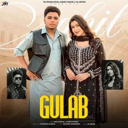 Gulab - Sahil Mehrok