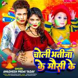 Choli Bhatija Ke Mausi Ke