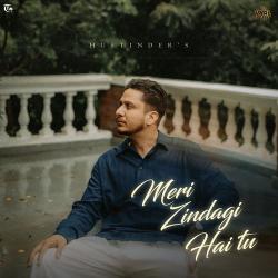 Meri Zindagi Hai Tu