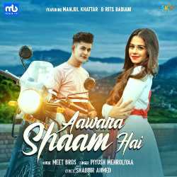 Aawara Shaam Hai - Meet Bros