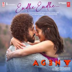 Endhe Endhe - Agent