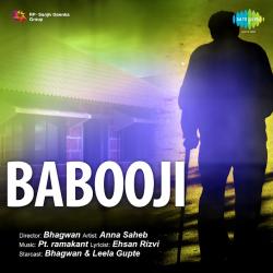 Gore Gore Mukh Se Jo Ghunghat - Babooji